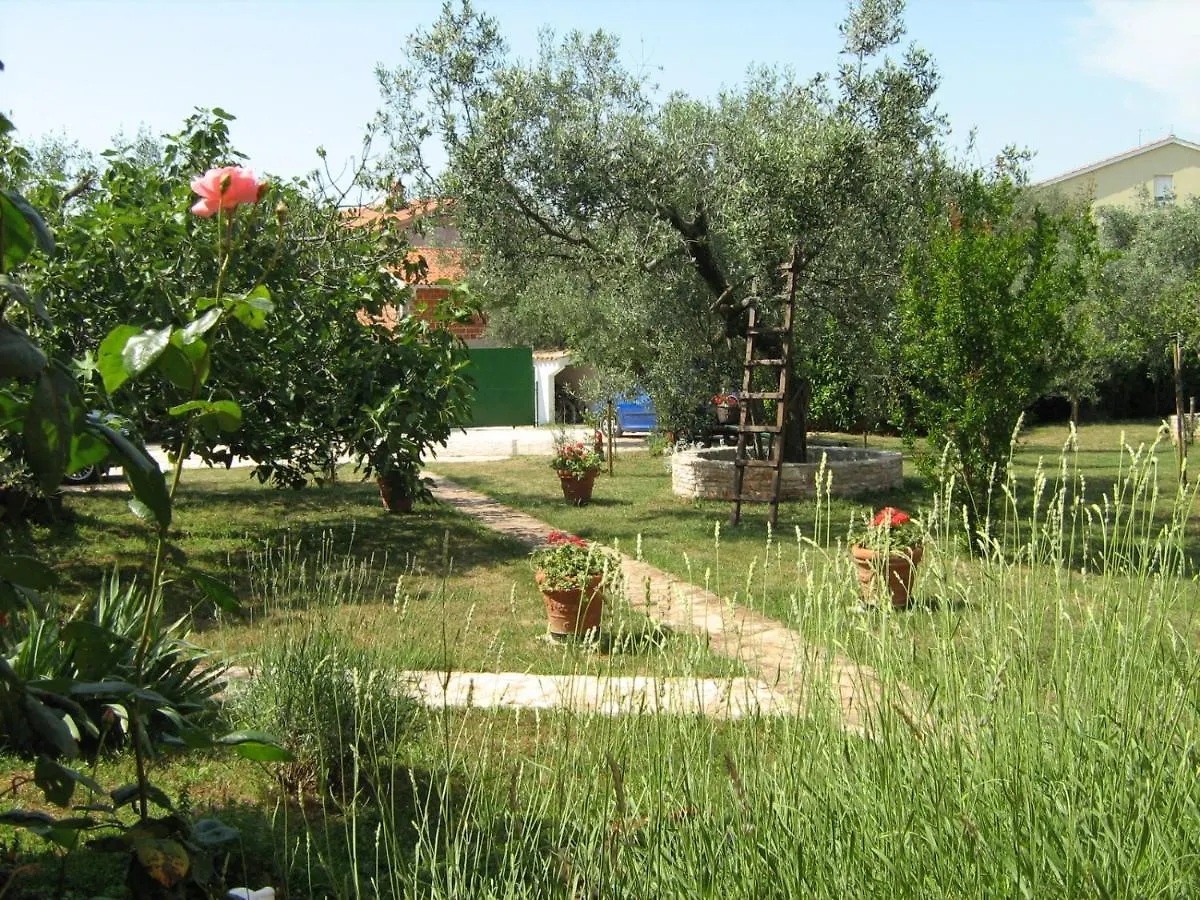 Apartment Apartmani Mirjana Umag
