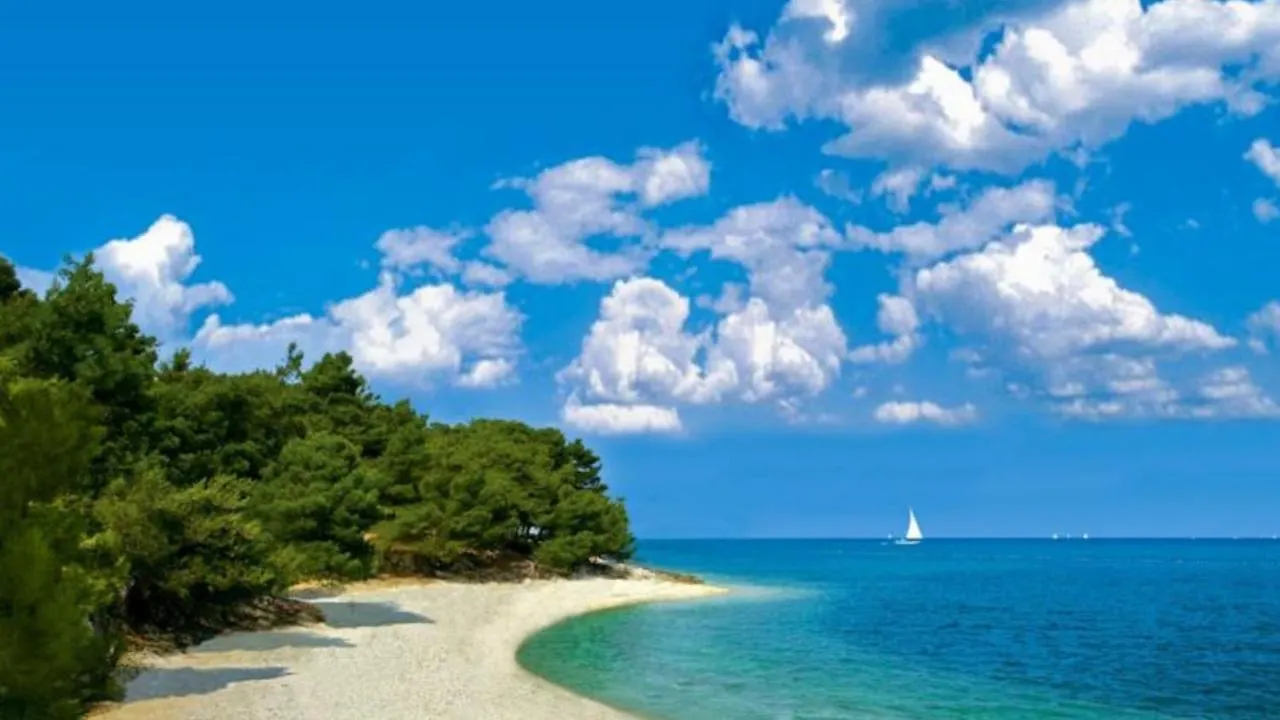 Apartment Apartmani Mirjana Umag Croatia