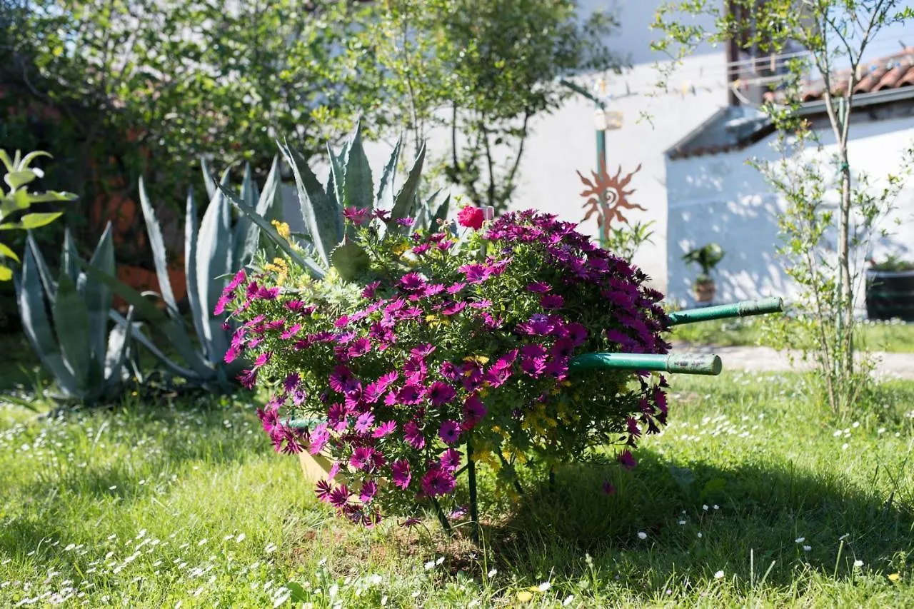 Apartment Apartmani Mirjana Umag Croatia