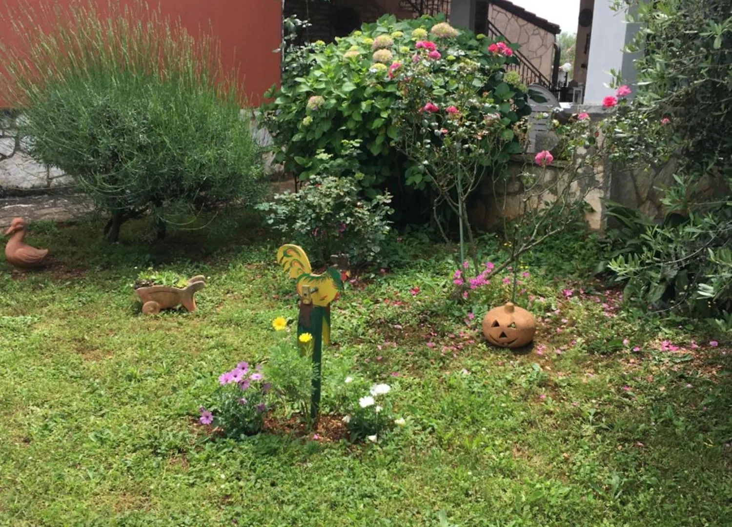 Apartmani Mirjana Umag