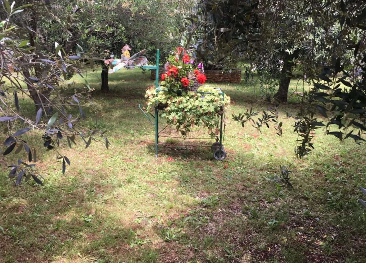 Appartamento Apartmani Mirjana Umago